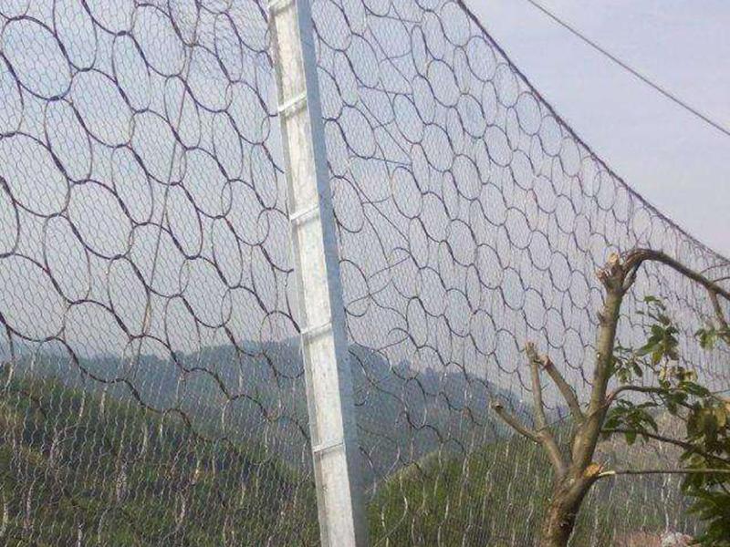 RXI-200環(huán)形被動防護網